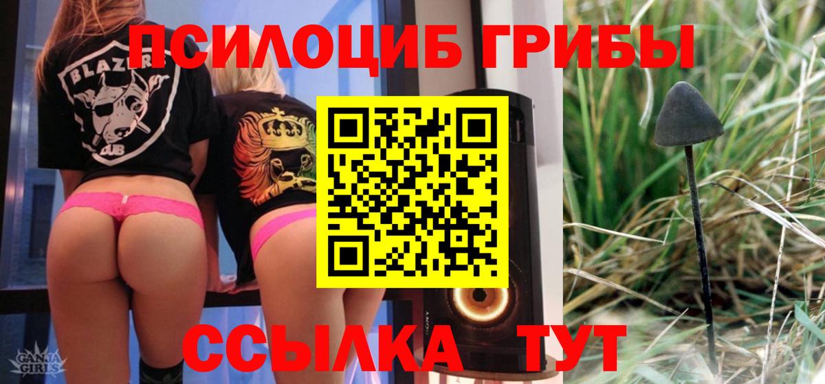 Галлюциногенные грибы Psilocybine cubensis  купить наркотики сайты  Вход с VPN  Барнаул  Галлюциногенные грибы Magic Shrooms 